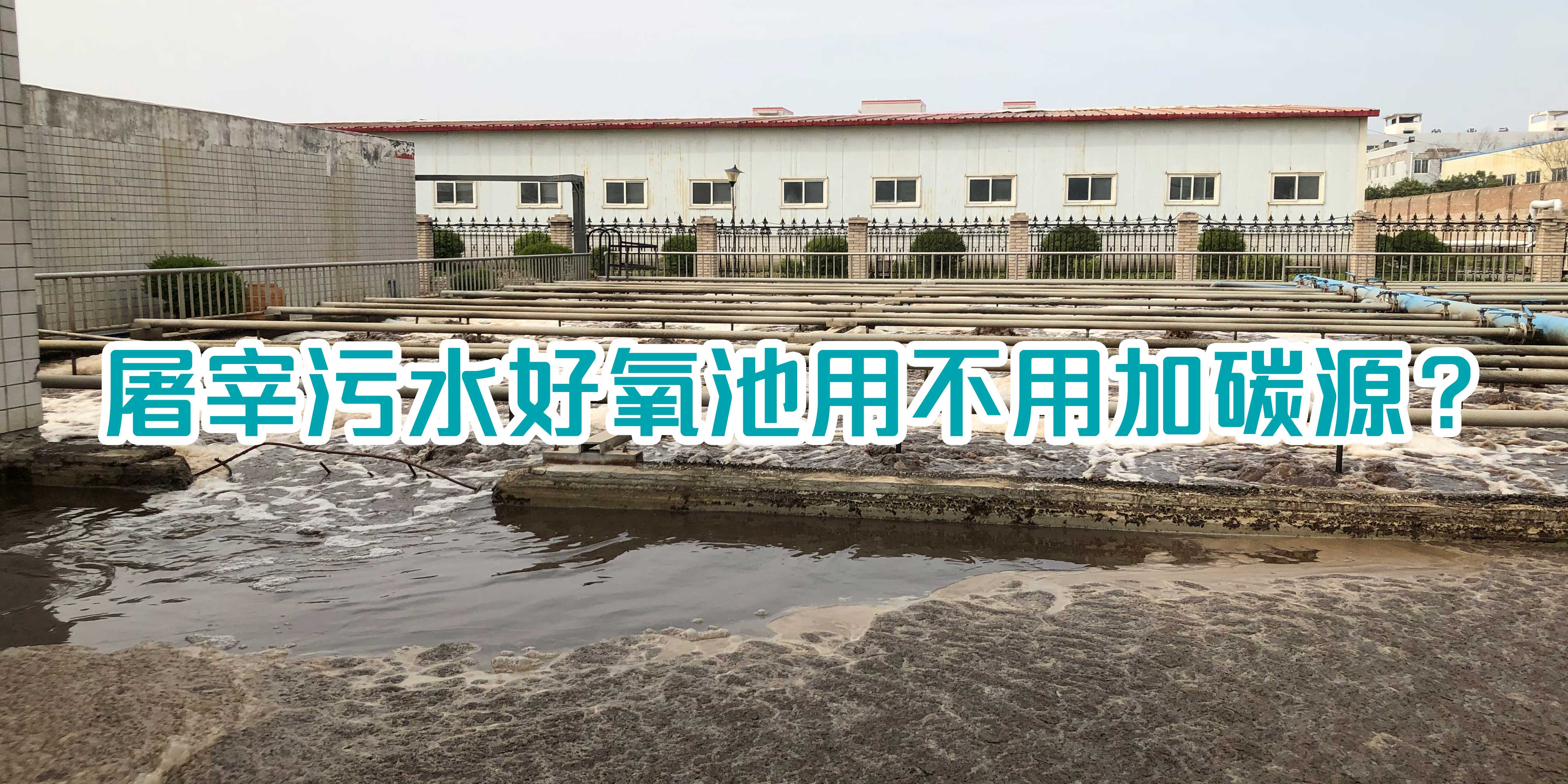 屠宰污水好氧池用不用加碳源？