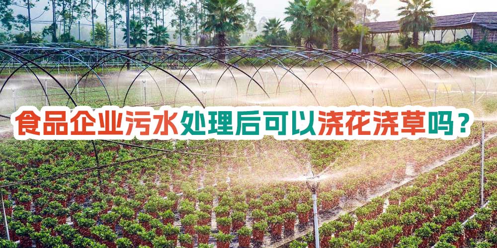 食品企業污水處理后可以澆花澆草嗎？