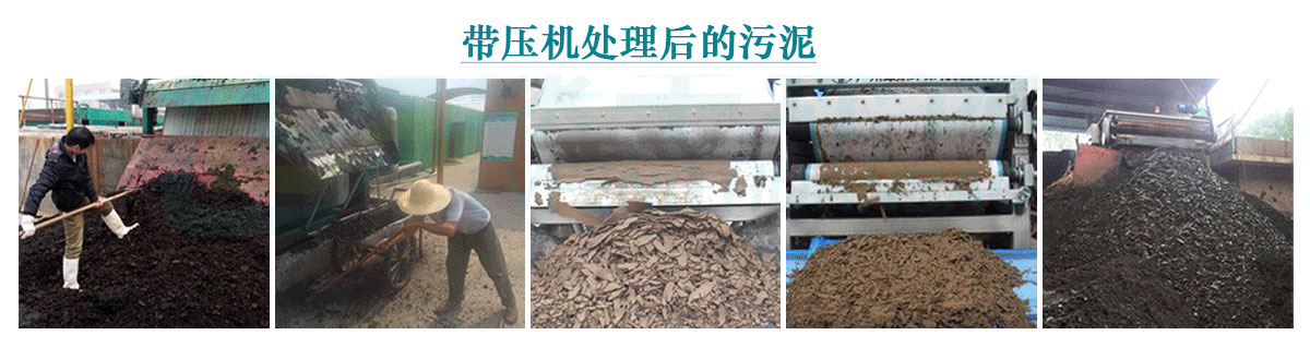 食品污水處理中污泥利用2-中原綠豐環保